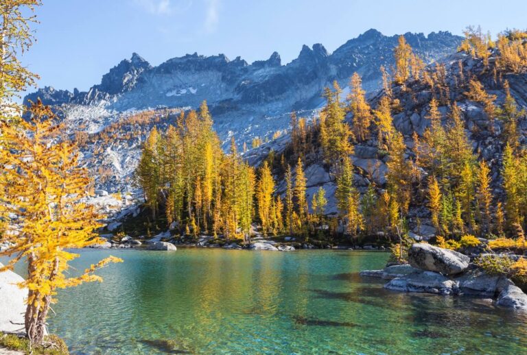 A beautiful place to camp in Washington