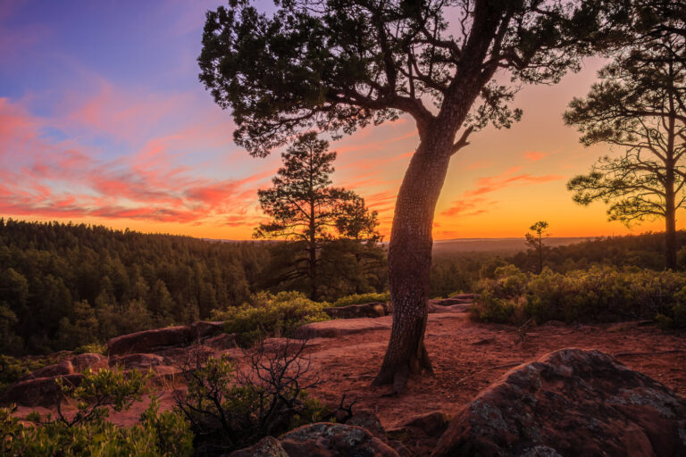 One of the most beautiful places in Arizona
