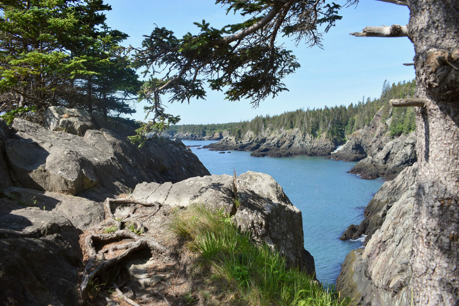 One of the most beautiful places to camp in Maine