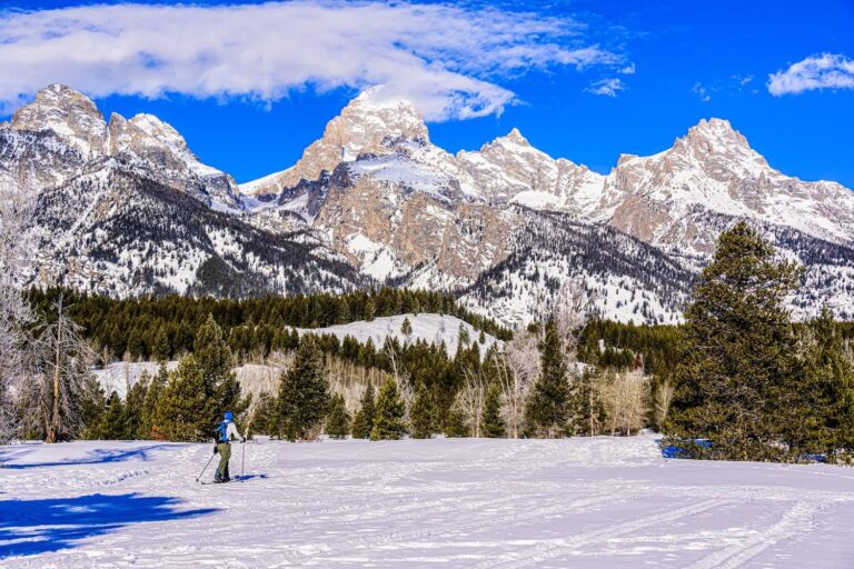 One of the best places to go camping in February