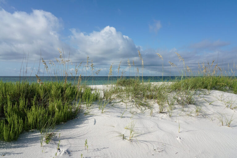One of the most beautiful places to camp in Florida
