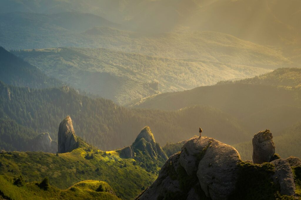 An area that makes you think of nature quotes