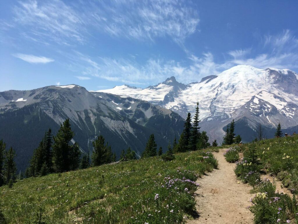 Washington free camping