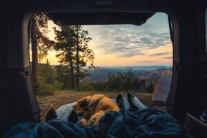 Car camping hacks