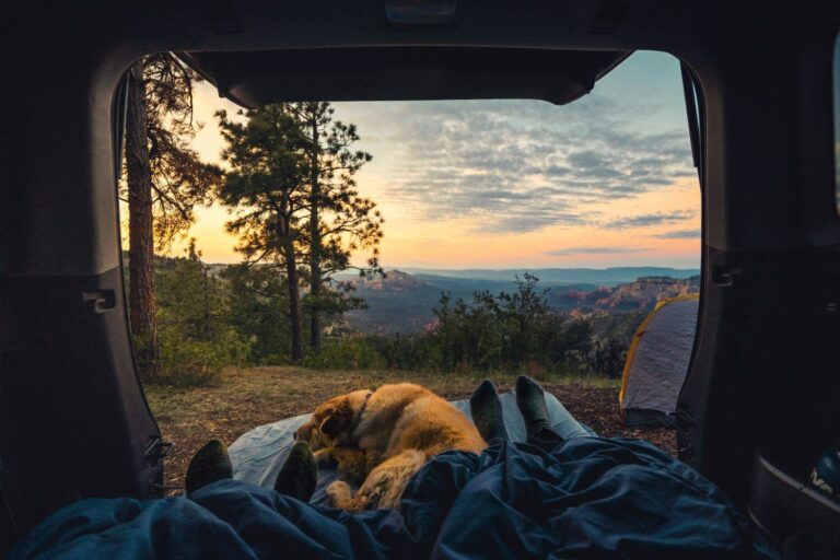 Car camping hacks