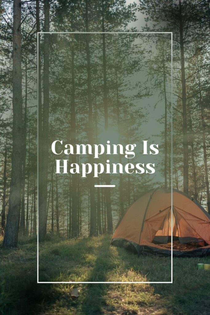 Camping quote
